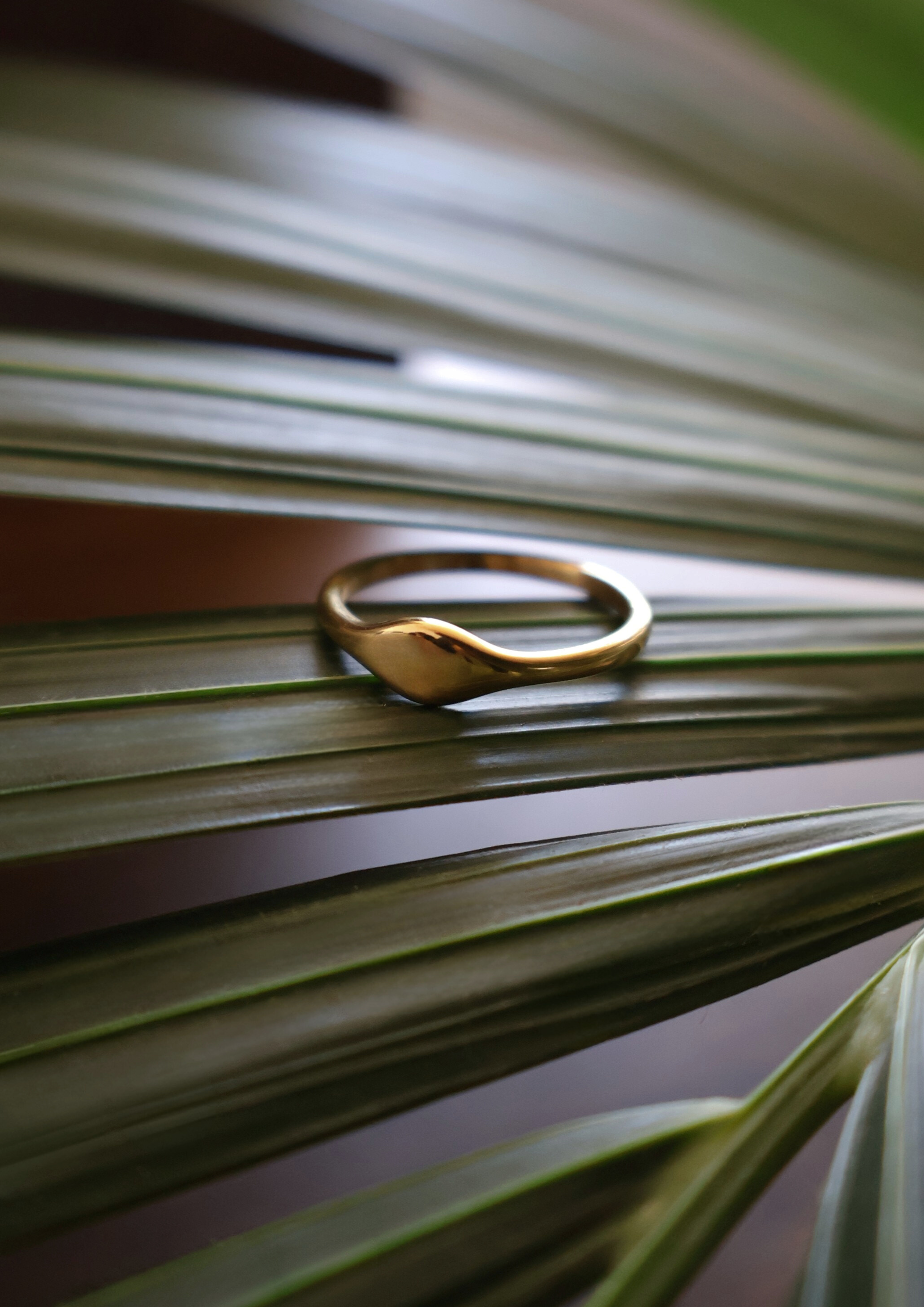 Pure Ring I Gold
