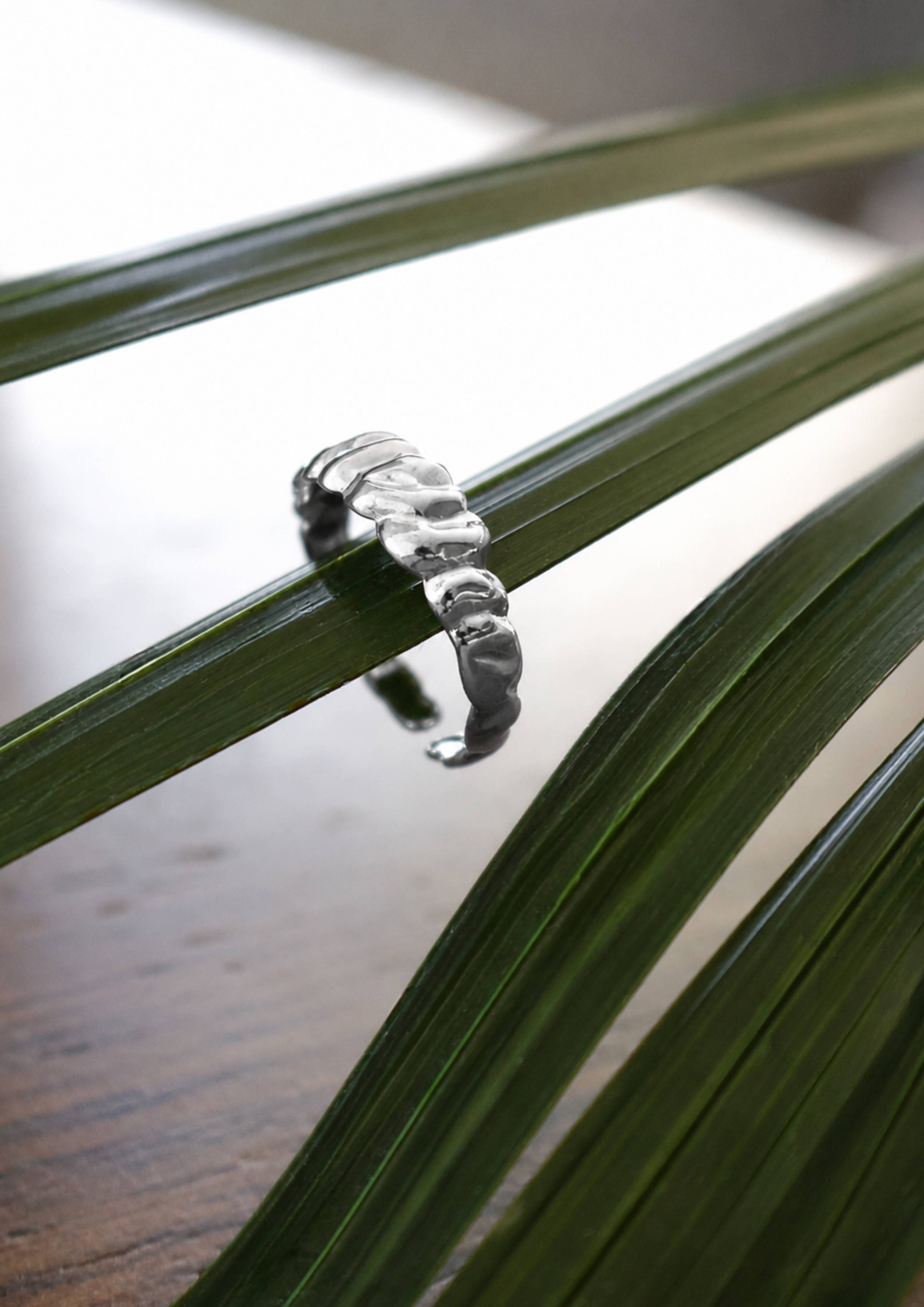 Soma Ring I Silver