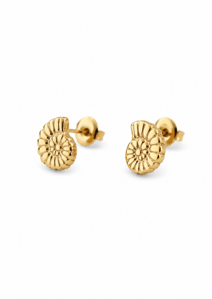 Fossil Ohrstecker I Gold