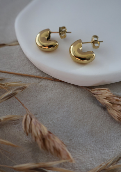 Curve Ohrstecker I GOLD