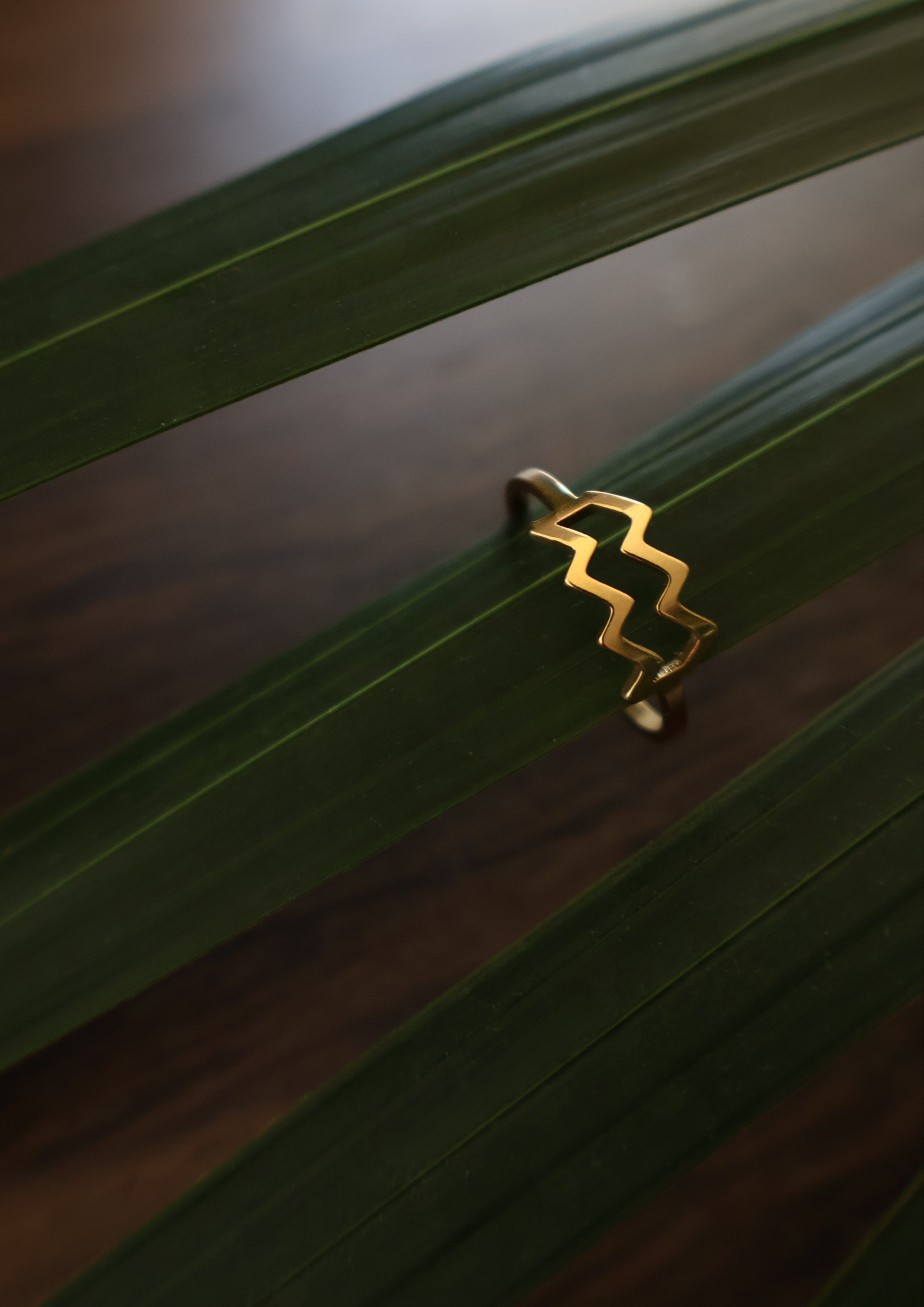 Constellation Ring I Gold