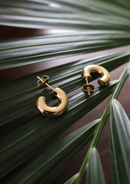 Halo Ohrstecker I Gold