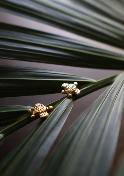 Turtle Ohrstecker I Gold