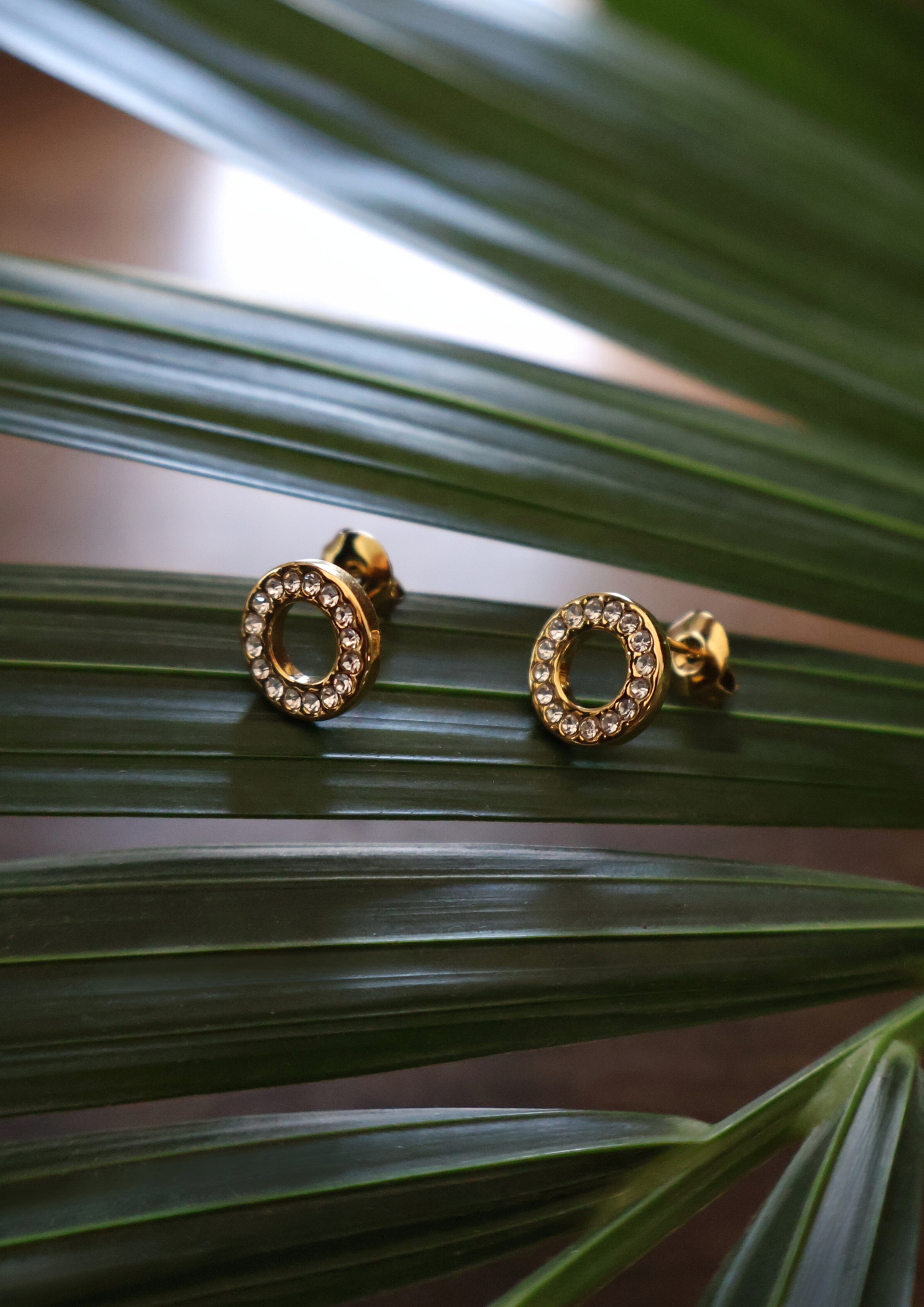 Pointe Ohrstecker I Gold