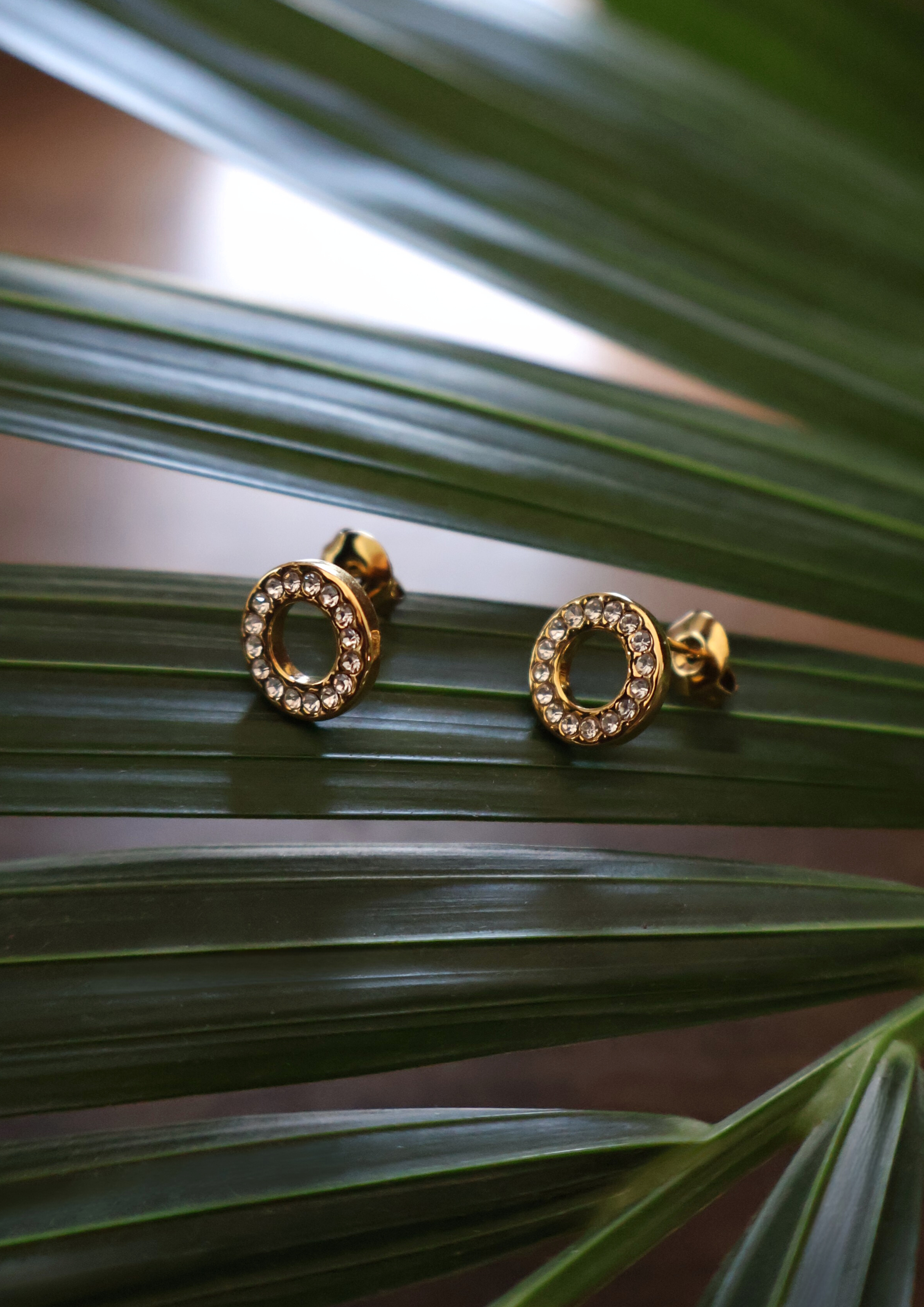 Pointe Ohrstecker I Gold