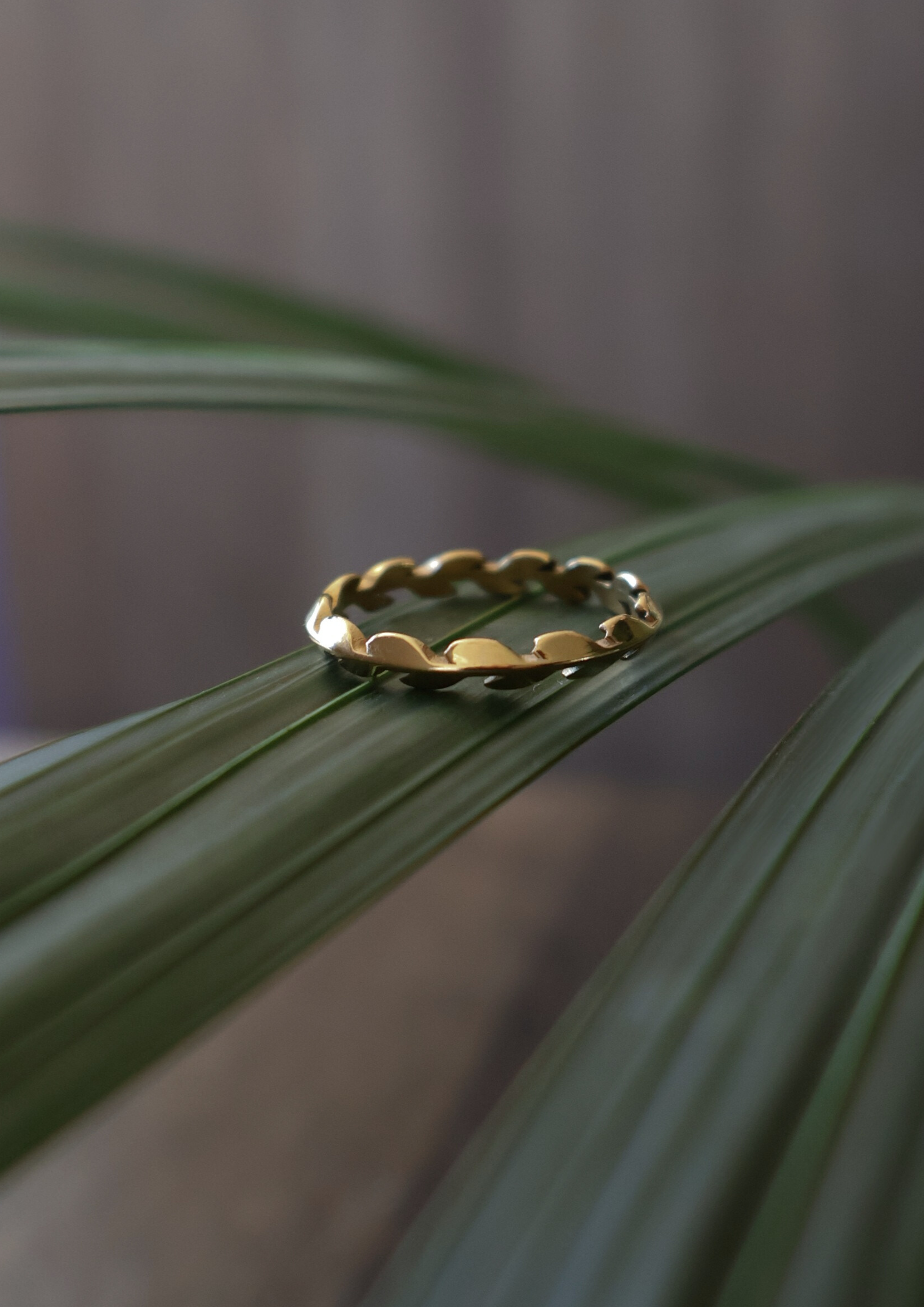 Vela Ring I Gold