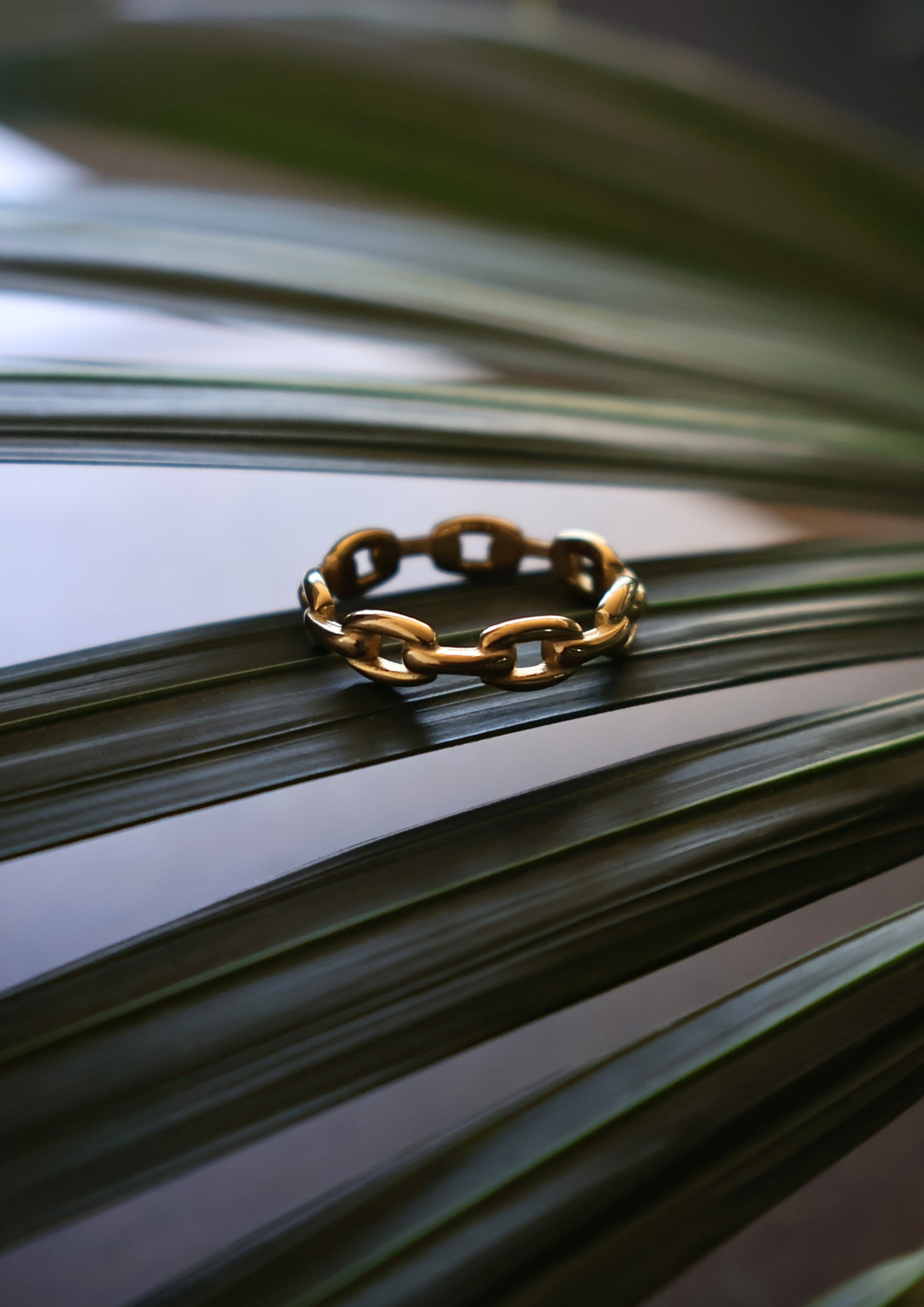 Iron Ring I Gold