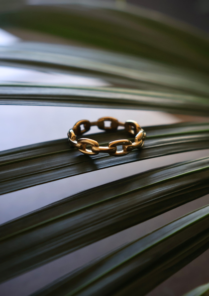 Iron Ring I Gold