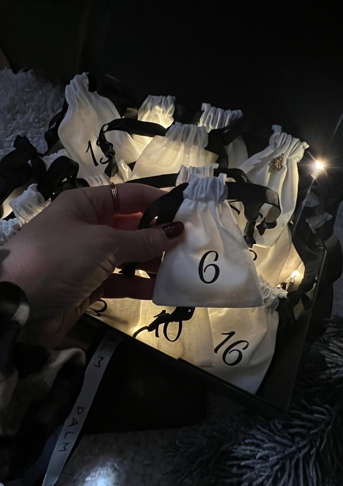 🌴 Adventskalender 2026