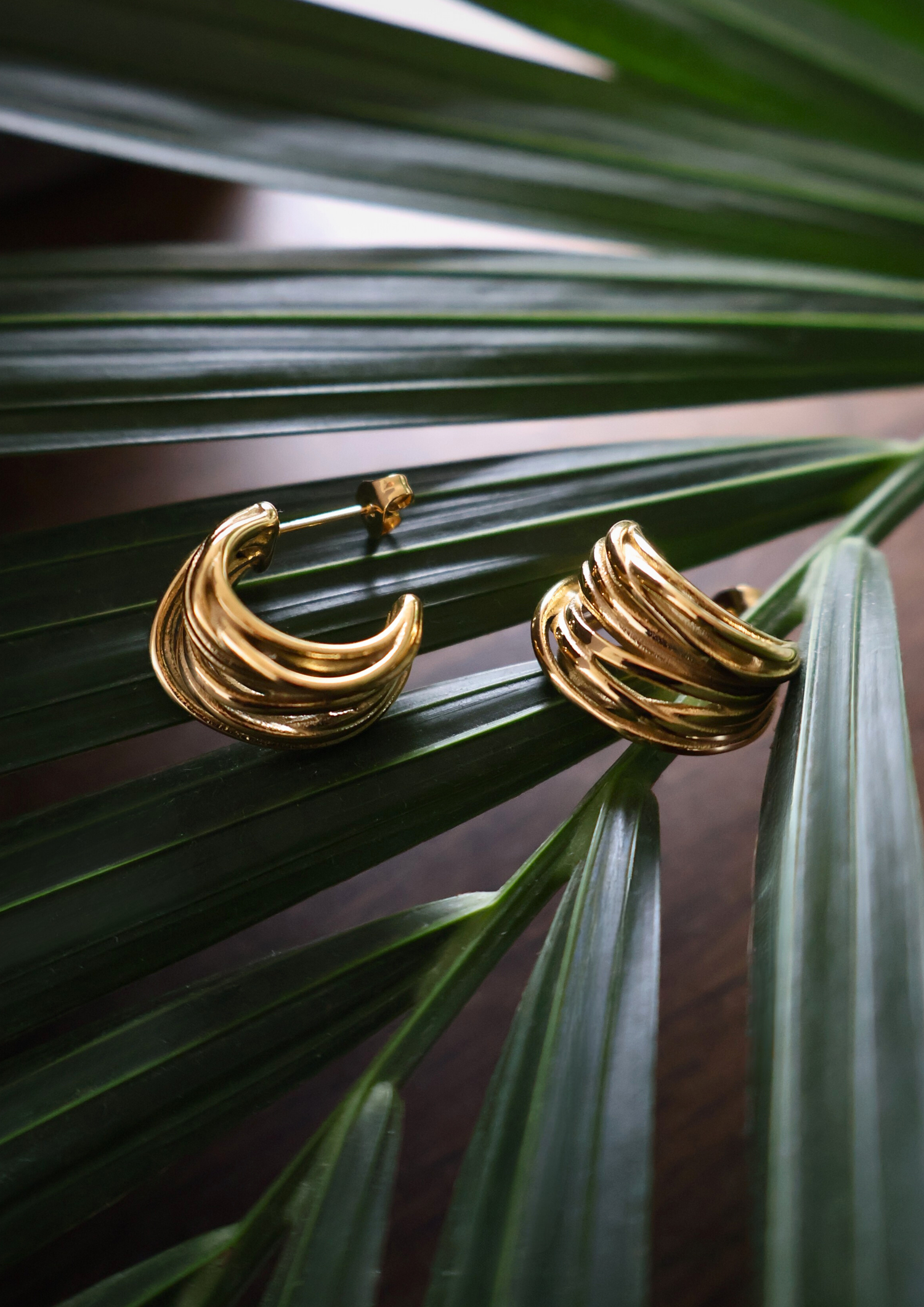 Breeze Ohrstecker I Gold