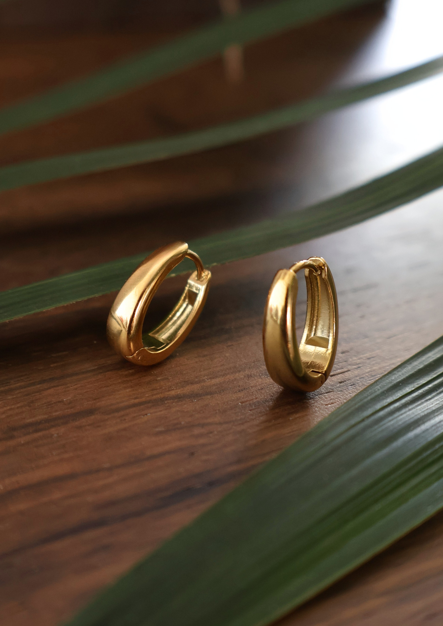 Solaia Ohrringe I Gold