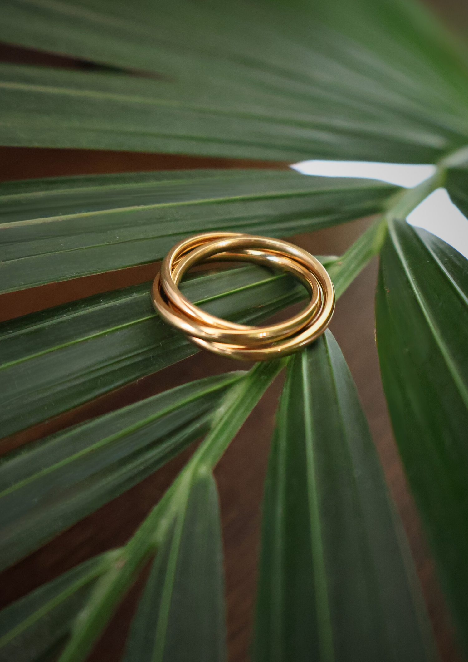 Twist Ring I Gold