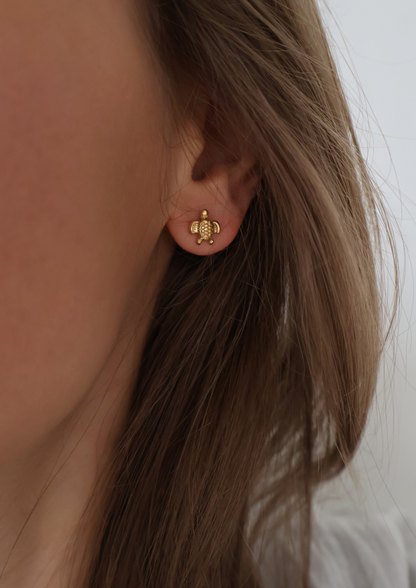 Turtle Ohrstecker I Gold