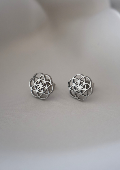 Essence Ohrstecker I Silber